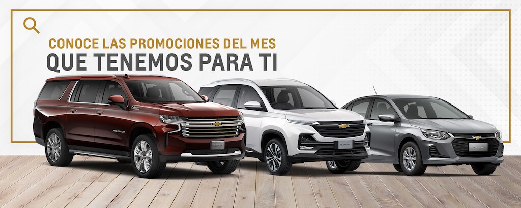 Promociones del mes