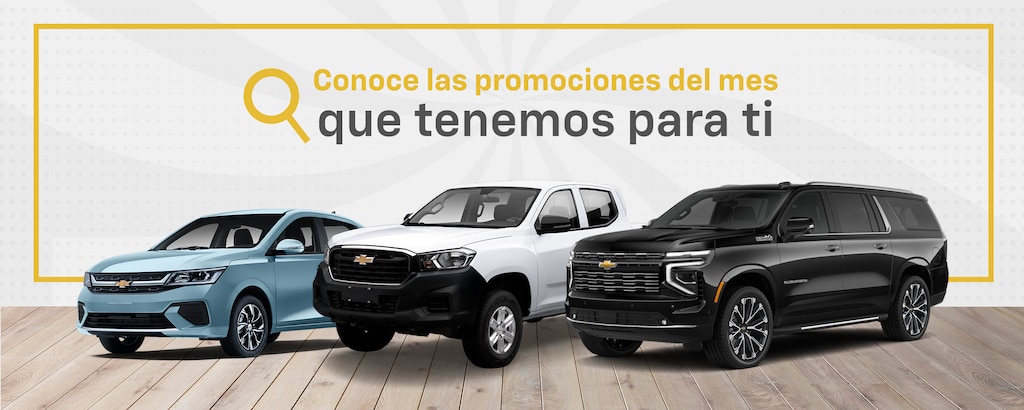Promociones del mes
